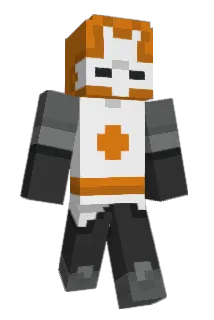shawnpnguin Minecraft avatar full body