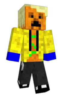 shay11155 Minecraft avatar full body