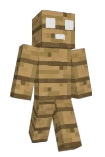shco1e Minecraft avatar full body