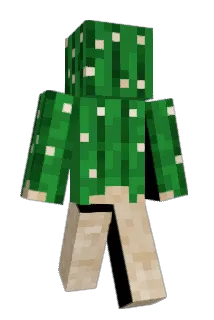 sheepboy_nl Minecraft avatar full body