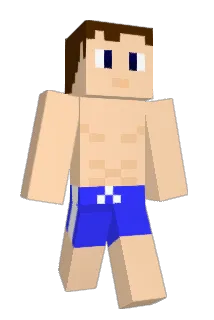 shellcool Minecraft avatar full body