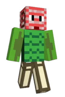 shellmen1587 Minecraft avatar full body