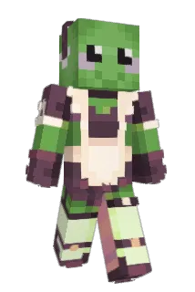 shhtonk Minecraft avatar full body
