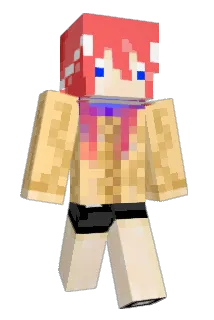 shigArk Minecraft avatar full body