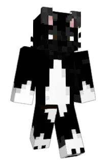 shimiyanay Minecraft avatar full body