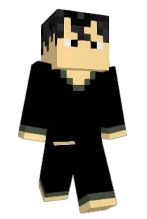 shinewoong Minecraft avatar full body
