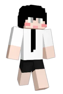 shinsoo1 Minecraft avatar full body