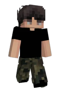 shipx Minecraft avatar full body