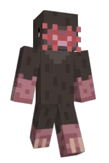 shirleytempletw Minecraft avatar full body