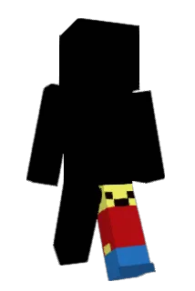 shirusaa Minecraft avatar full body