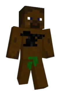 shiwuman Minecraft avatar full body