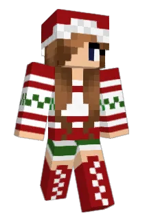shmee405 Minecraft avatar full body