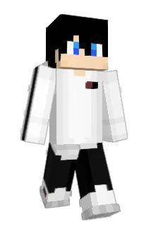 sho_949 Minecraft avatar full body