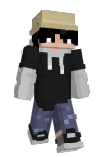 shortangle Minecraft avatar full body