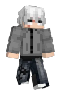 shotokyn Minecraft avatar full body