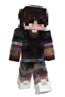 shuffle23LP Minecraft avatar full body