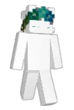 shushi123 Minecraft avatar full body