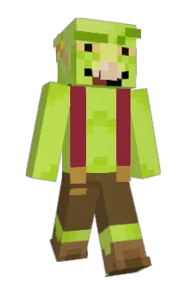shynqs Minecraft avatar full body