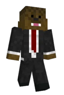 shynye2000 Minecraft avatar full body