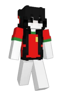 shzitter Minecraft avatar full body