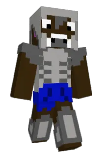sicm Minecraft avatar full body