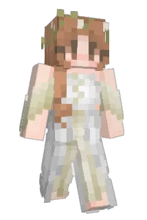 sidliz Minecraft avatar full body