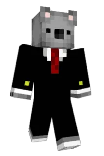 sidnaz Minecraft avatar full body