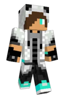 sign9698 Minecraft avatar full body