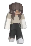 signetics Minecraft avatar full body