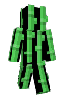 silentbagel Minecraft avatar full body