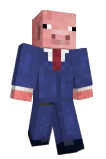 silkepig Minecraft avatar full body