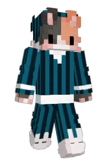 silly_asf Minecraft avatar full body