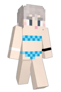 silver207 Minecraft avatar full body