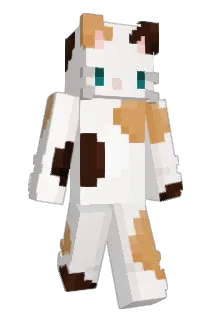 silverwind27 Minecraft avatar full body