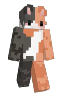 sinaa_ Minecraft avatar full body