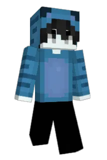 sinsp Minecraft avatar full body