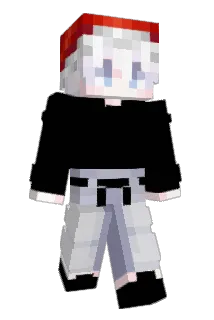 sisked Minecraft avatar full body