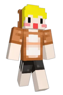 sj511 Minecraft avatar full body