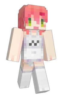 sk8bder Minecraft avatar full body