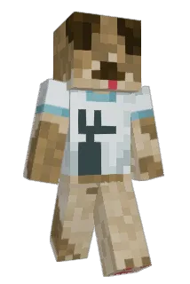 sk8dogg Minecraft avatar full body
