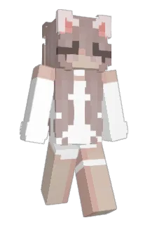 sk8s Minecraft avatar full body