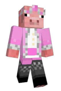 ska1wer Minecraft avatar full body