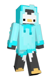 skalli1999 Minecraft avatar full body