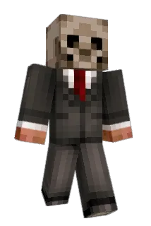 skatevolcom11 Minecraft avatar full body