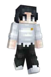 skeledom_ Minecraft avatar full body