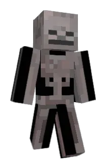skelet01111 Minecraft avatar full body