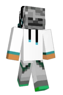 skelti Minecraft avatar full body