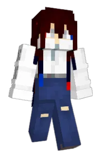 skibmafin Minecraft avatar full body