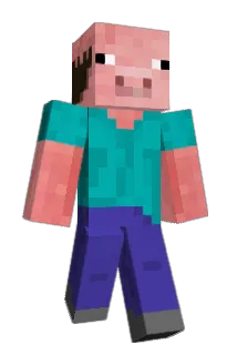 skiescross Minecraft avatar full body