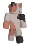 skoltonz Minecraft avatar full body